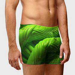 Трусы-боксеры мужские Объемный зеленый канат, цвет: 3D-принт — фото 2