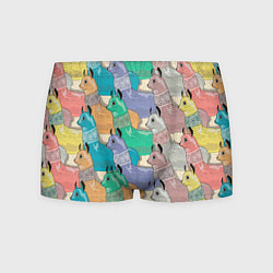 Мужские трусы Разноцветные ламы паттерн