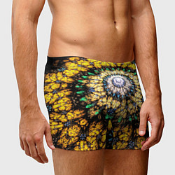 Трусы-боксеры мужские Оптический узор текстура, цвет: 3D-принт — фото 2