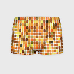 Трусы-боксеры мужские Осенняя палитра, цвет: 3D-принт