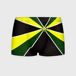 Трусы-боксеры мужские Мотострелковые войска: лавры, цвет: 3D-принт