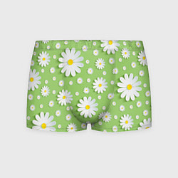 Трусы-боксеры мужские Ромашки бумажные, цвет: 3D-принт