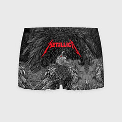Трусы-боксеры мужские Metallica - scavenger on the skull, цвет: 3D-принт