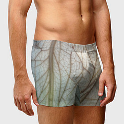 Трусы-боксеры мужские Прожилки листика, цвет: 3D-принт — фото 2