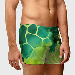 Трусы-боксеры мужские Вдохновленный природой, цвет: 3D-принт — фото 2