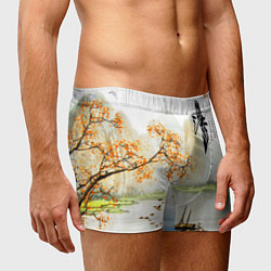 Трусы-боксеры мужские China Landscape, цвет: 3D-принт — фото 2