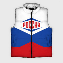 Мужской жилет Россия 2016, цвет: 3D-черный