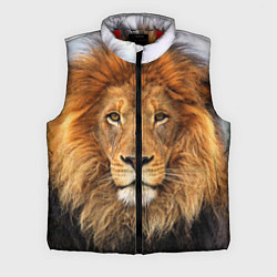 Мужской жилет Красавец лев