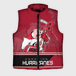 Мужской жилет Carolina Hurricanes, цвет: 3D-черный
