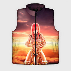 Мужской жилет Fairy Tail, цвет: 3D-черный