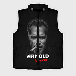Мужской жилет Arnold forever