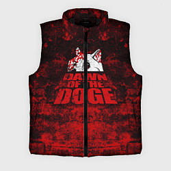 Мужской жилет Dawn of the Doge