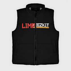 Мужской жилет Limp Bizkit, цвет: 3D-светло-серый