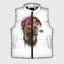 Мужской жилет 2Pac, цвет: 3D-черный
