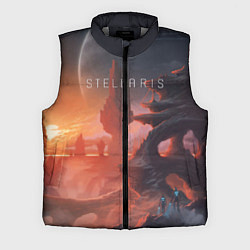 Мужской жилет Stellaris, цвет: 3D-светло-серый