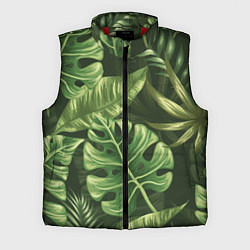 Мужской жилет Доисторический лес
