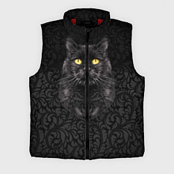 Мужской жилет Чёрный котик