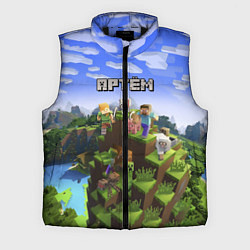 Мужской жилет Майнкрафт: Артём, цвет: 3D-черный