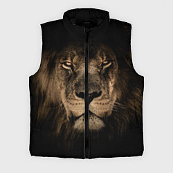 Мужской жилет Львиный взгляд