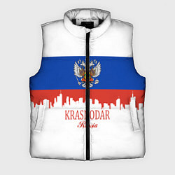 Мужской жилет Krasnodar, Russia, цвет: 3D-черный