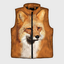 Мужской жилет Хитрая лисичка