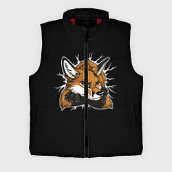 Мужской жилет Лис уверен, цвет: 3D-красный