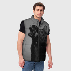 Мужской жилет Черный котик, цвет: 3D-черный — фото 2