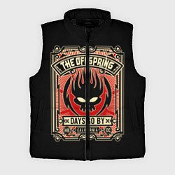 Мужской жилет The Offspring: Days Go By, цвет: 3D-черный