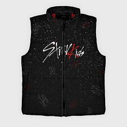 Мужской жилет STRAY KIDS, цвет: 3D-красный