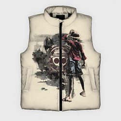 Мужской жилет One Piece, цвет: 3D-черный