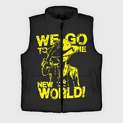 Мужской жилет One Piece We Go World, цвет: 3D-черный
