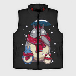 Мужской жилет My Neighbor Totoro, цвет: 3D-красный