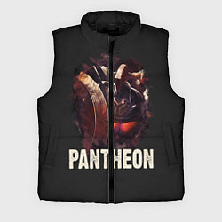 Мужской жилет Pantheon