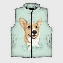Мужской жилет КОРГИ, цвет: 3D-черный