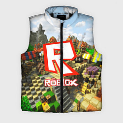 Мужской жилет ROBLOX, цвет: 3D-черный