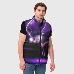 Мужской жилет Кот и Молнии, цвет: 3D-черный — фото 2