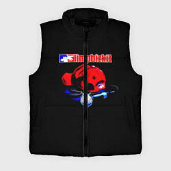 Мужской жилет LIMP BIZKIT, цвет: 3D-черный