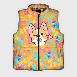 Мужской жилет Милый корги