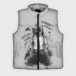 Мужской жилет PUBG, цвет: 3D-светло-серый