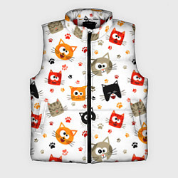 Мужской жилет Котики с лапками