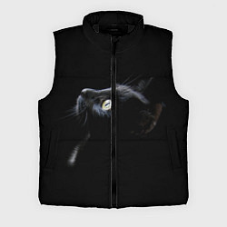 Мужской жилет Кот