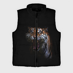 Мужской жилет Тигр, цвет: 3D-черный