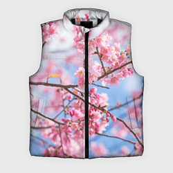Мужской жилет Ветки Сакуры, цвет: 3D-черный