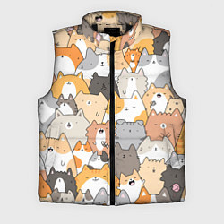 Мужской жилет Кошачья стая, цвет: 3D-черный