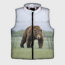 Мужской жилет Россия