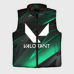 Мужской жилет VALORANT, цвет: 3D-красный