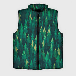 Мужской жилет ЛЕС