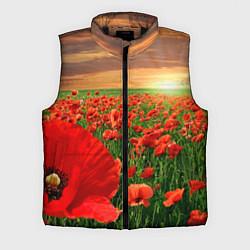 Мужской жилет Красный мак на закате, цвет: 3D-черный