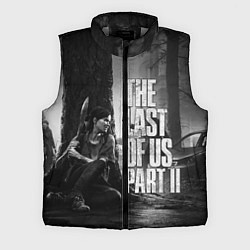 Мужской жилет THE LAST OF US 2, цвет: 3D-светло-серый