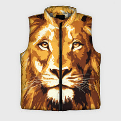 Мужской жилет Взгляд льва, цвет: 3D-светло-серый